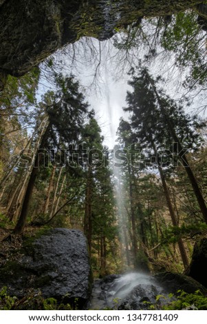 Similar – Image, Stock Photo In the Adersbach-Weckelsdorf Rock Town