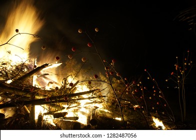 Japan Newyear Festival Bonfire