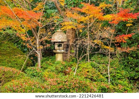 Japan - November 22, 2019 : Japanese Stone Lantern located in Zen Style Garden of Genko-an Temple in autumn, Kyoto
