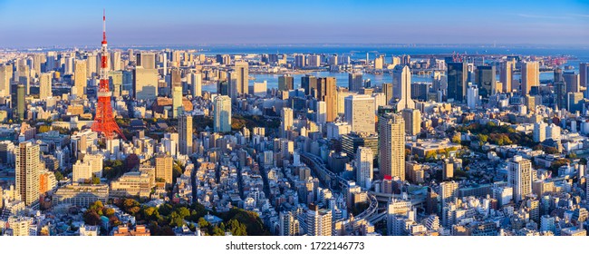 Japan. Panorama Of Tokyo From Afar. The Streets Of Tokyo Bird's Eye View. Japan On A Summer Day. Japan Building. Japanese City View From A Drone. Architecture. Tokyo Urban