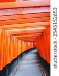 Japan Red Torri Gates Entrance walkway, hike, gates, japan attraction, Culture