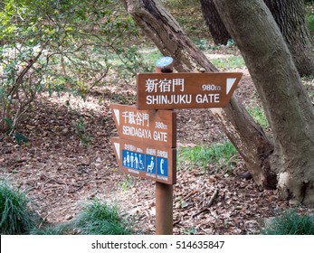 Japan Shinjuku Gyoen At Autumn
