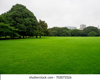 Japan Shinjuku Gyoen Rainy Day
