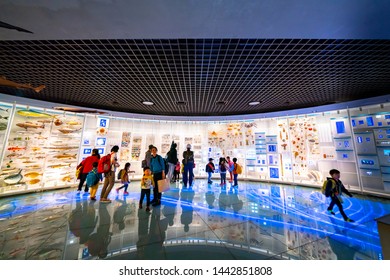 1,982 Interactive museum science Images, Stock Photos & Vectors ...