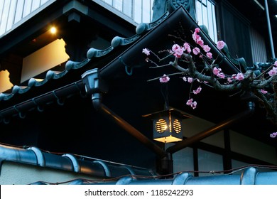 japan tour spring - Shutterstock ID 1185242293