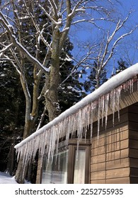 japan winter cold morning icicle photo