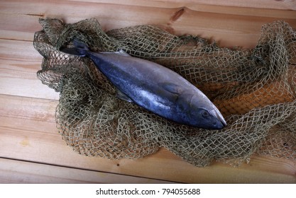 Japanese Amberjack (Seriola Quinqueradiata, Lack Fish)