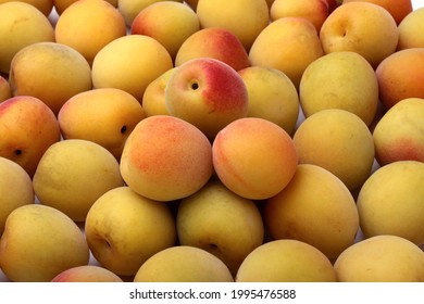 Japanese Apricot On White Background, Ume, Plum