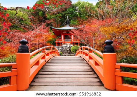 Japanese autumn fall. Kyoto Daigoji temple. Famous temple with autumn color leaves and cherry blossom in spring in Kyoto 