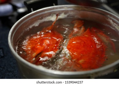 Japanese Blue Crab In The Pot