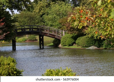 Japanese Bridge In The Missouri Botanical Garden