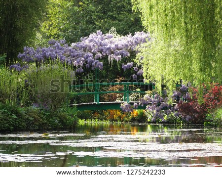 Japanese bridge Monet Giverny