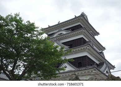 Japanese Castle Ehime Prefecture Osu Castle