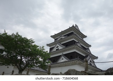 Japanese Castle Ehime Prefecture Osu Castle