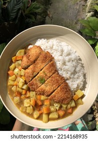 Japanese Chicken Katsu Curry On A Plate