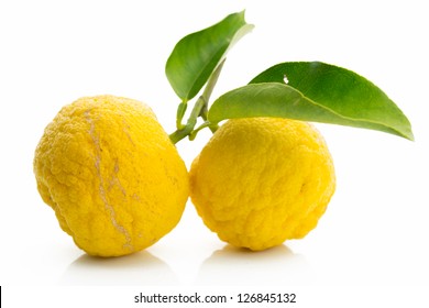Japanese citron fruits isolated on white background