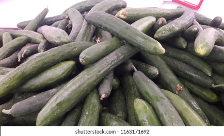 The Japanese Cucumber Is A Widely Cultivated Plant In The Gourd Family, Cucurbitaceae. The Length Is About The Size Between English Cucumber And Persian Cucumber. 