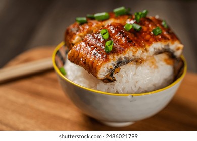 Japanese delicacy eel rice close-up - Powered by Shutterstock