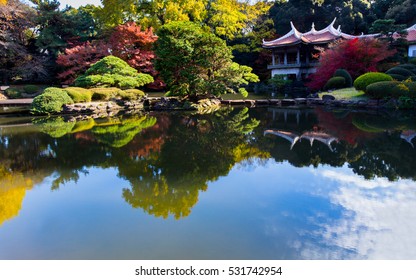 Japanese Dojo In Autumn