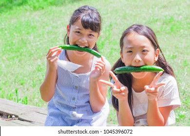 Japanese elementary school students eat cucumber