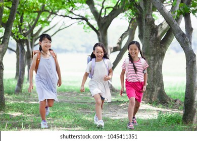 Japanese Elementary School Students In The Way To And From School