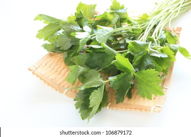 Japanese Parsley Images Stock Photos Vectors Shutterstock