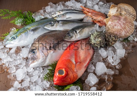 japanese fresh fishes and crustacean on ice
