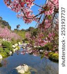 Japanese Friendship Garden and Museum, Park in San Diego, California.