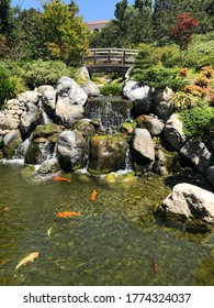 Japanese Friendship Garden San Diego