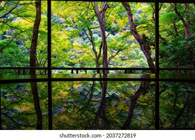Japanese garden of Arashiyama Yusaitei, Kyoto, Japan. Table reflection of the garden. In early summer, it is covered by greenery and is one of the most famous  blue maple viewing spots in Sagano.
