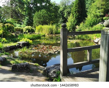 The Japanese Garden in Avenham Park, Preston 