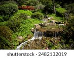 Japanese Garden, bridge over waterfall. Small asian style waterfall at gardens of mexico.