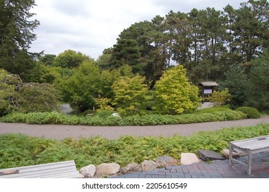 Japanese Garden At Como Zoo 