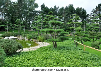 Japanese Garden In Dusseldorf