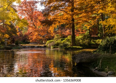 Japanese Garden, Fort Worth, TX