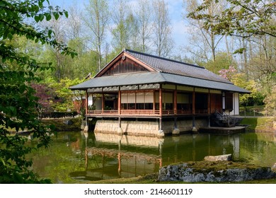 Japanese garden with his house