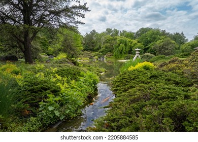 Japanese Garden at the Montreal Botanical Garden. Strolling garden with stone lantern, stream, pond and native Canadian plants arranged with  Japanese aesthetics and philosophical ideas.   - Shutterstock ID 2205884585