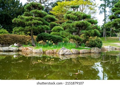  Japanese Garden In Nordpark, Dusseldorf, Germany 