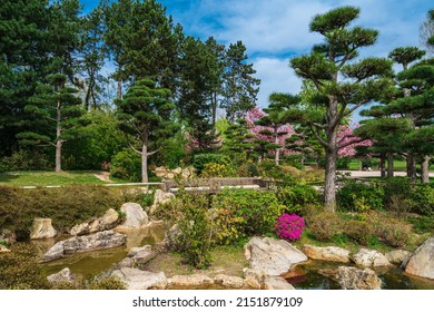  Japanese Garden In Nordpark, Dusseldorf, Germany 