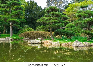  Japanese Garden In Nordpark, Dusseldorf, Germany 