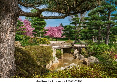  Japanese Garden In Nordpark, Dusseldorf, Germany 