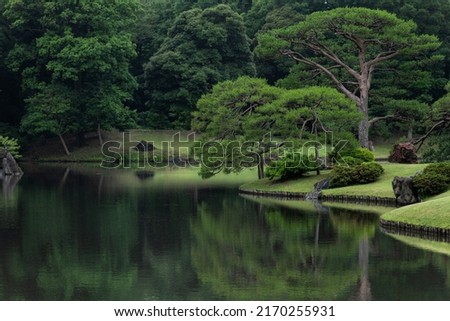 Japanese garden on a rainy day. June.