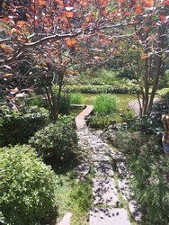 Japanese Garden In The Prado Neighborhood, Montevideo, Uruguay.