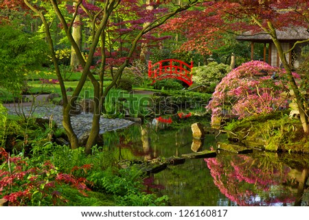 Japanese Garden Spring Stock Photo (Edit Now) 126160817 - Shutterstock