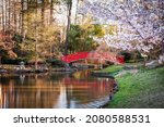 Japanese Gardens in spring season.