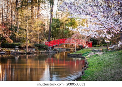 Japanese Gardens in spring season.