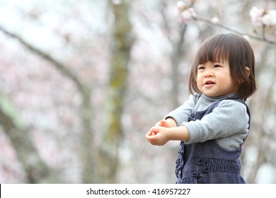 Japanese Girl And Cherry Blossoms (2 Years Old)