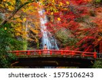 Japanese girl in traditional kimono dress on the red bridge in minoh waterfall park with autumn red and yellow background, Osaka, Japan