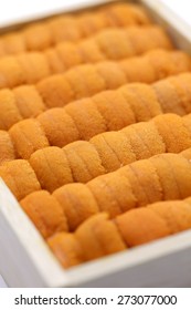 japanese green sea urchin roe, ezo bafun uni, sushi and sashimi ingredients - Shutterstock ID 273077000
