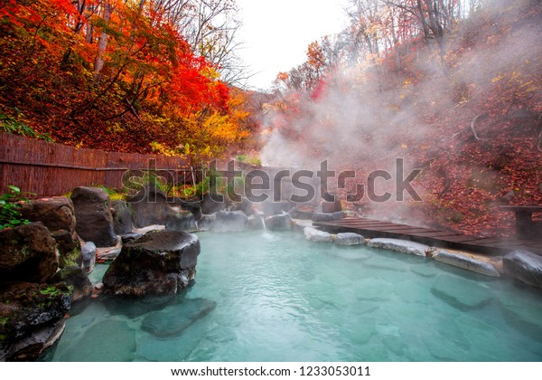 Japanese Hot Springs Onsen Natural Bath Stock Photo (Edit Now) 1233053011